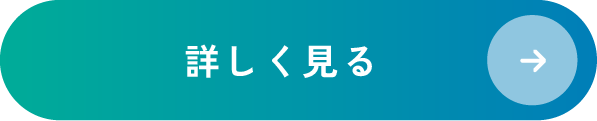 詳しく見る